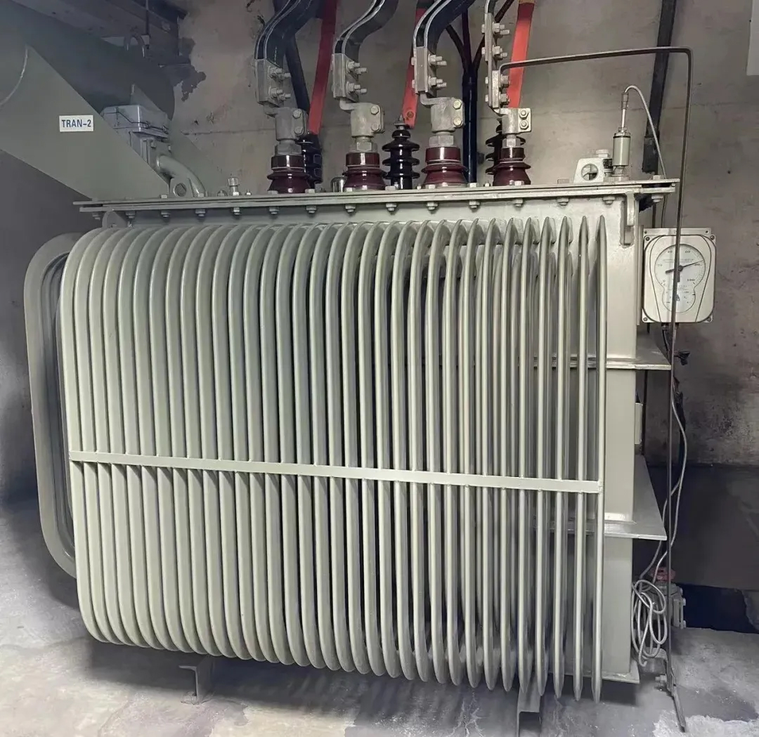 1742867989151062.jpg 2.jpg